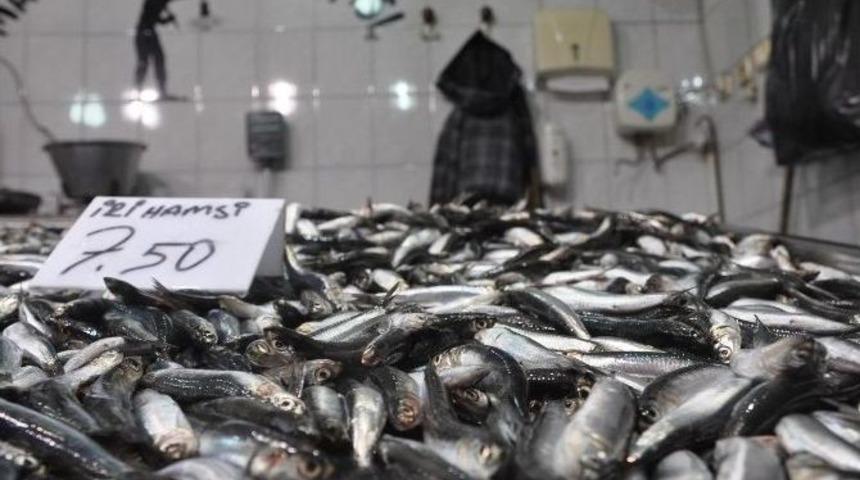 Balık Fiyatları Tavan Yaptı