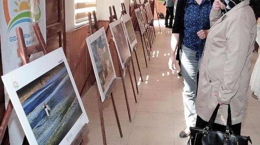 Tarım Ve İnsan Konulu Fotoğraf Sergisi Yozgat&rsquo;ta A&ccedil;ıldı