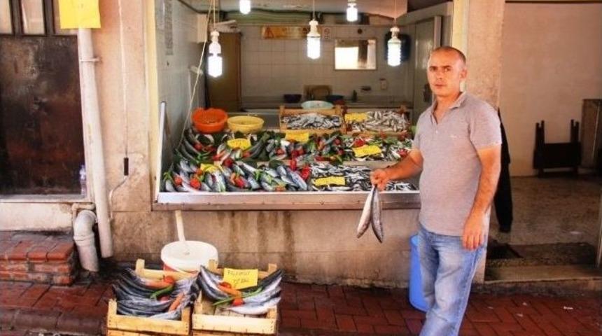 Balık Fiyatları El Yakıyor