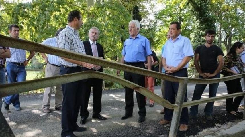 Yeni Mahalleler De Nil&uuml;fer İle G&uuml;l&uuml;mseyecek