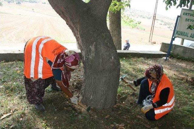 Kumral Abdal Türbesi’ne Bakım