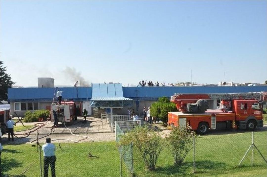 &Ccedil;anakkale&rsquo;de Balık Fabrikasında Yangın