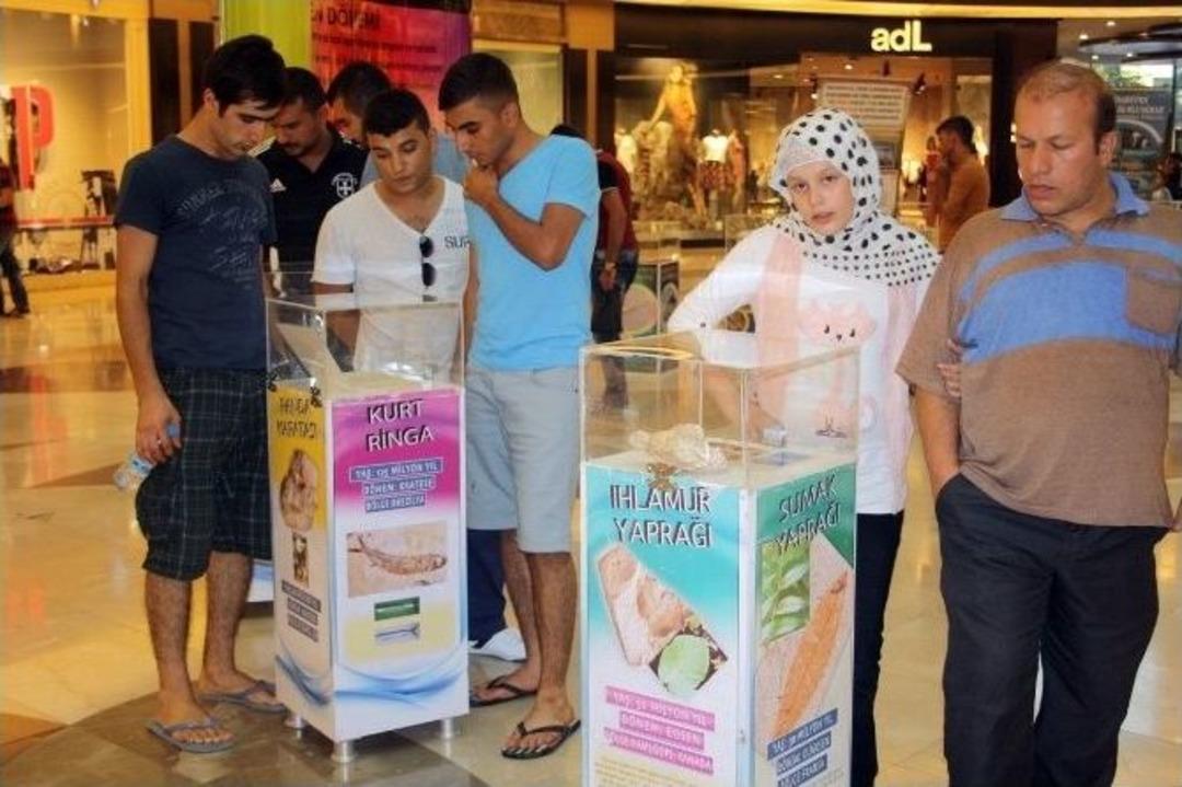 Sanko Park&rsquo;ta Fosil Sergisi