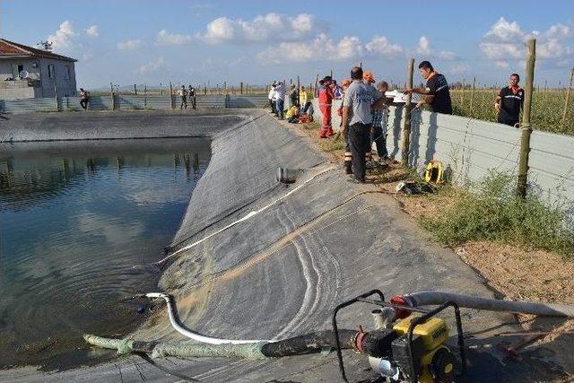 Serinlemek İçin Sulama Havuzuna Giren Genç Boğuldu