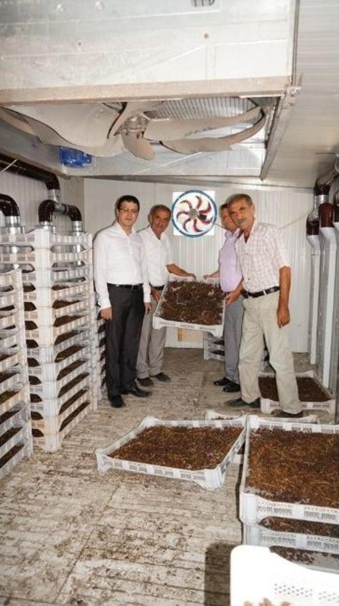 Zafer Kalkınma Ajansı Başkanı Kalmış Sarıg&ouml;l&rsquo;de