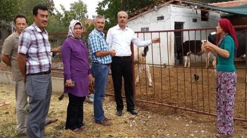 Korkuteli&rsquo;nde K&uuml;lt&uuml;r Mantar &Uuml;retimi Yaygınlaşıyor