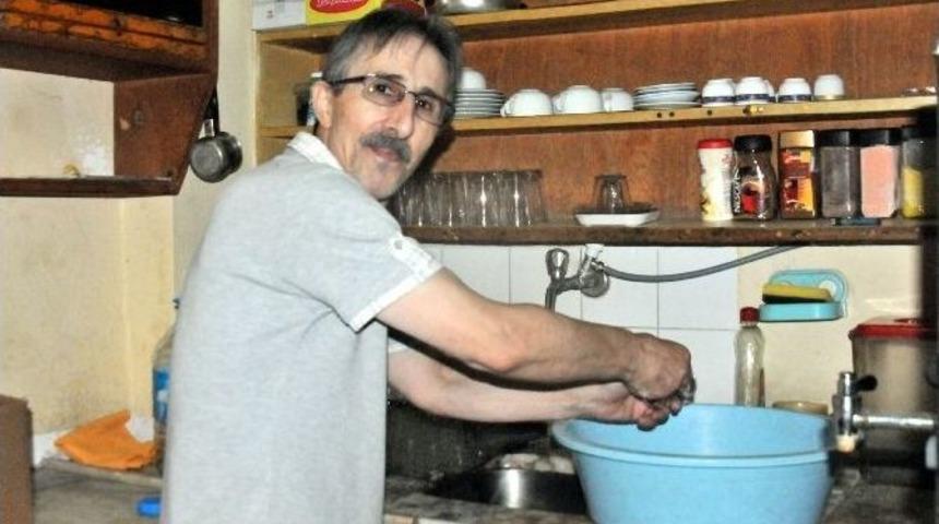 Yalova&rsquo;da Damacanayla Tıraş D&ouml;nemi Başladı