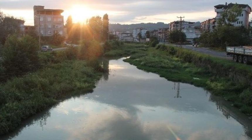 &Uuml;nye Tabakhane Deresi&rsquo;nde Balık &Ouml;l&uuml;m&uuml;