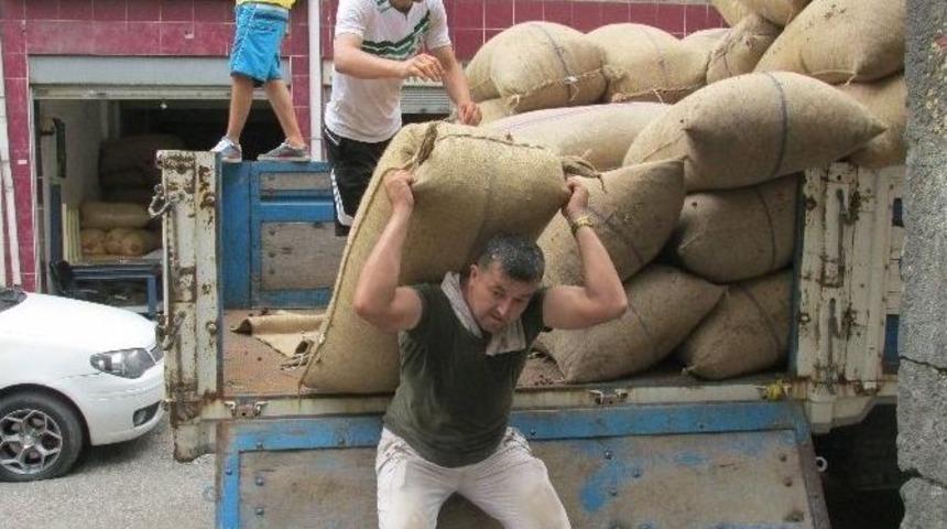 Fındık Fiyatlarında İlk Defa D&uuml;ş&uuml;ş Yaşadı