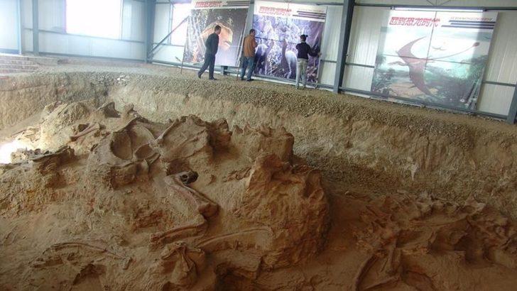 Çin'de 150 milyon yıllık kaplumbağa fosili bulundu G3