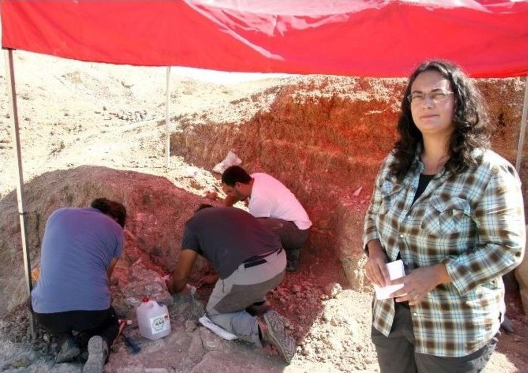 (&ouml;zel Haber) &Ccedil;obanın Bulduğu 30 Milyon Yıllık Fosil G&uuml;n Y&uuml;z&uuml;ne &Ccedil;ıkıyor