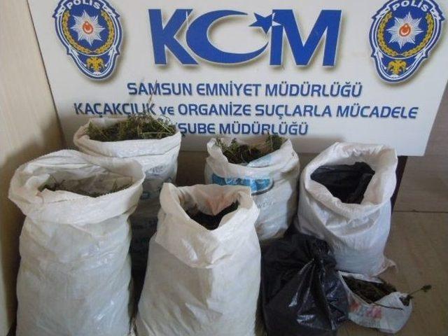 Samsun’da 33 Kilo 800 Gram Esrar Ele Geçti