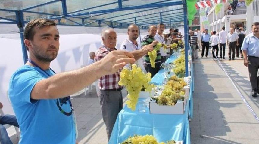 İzmit &Uuml;z&uuml;m Festivali D&uuml;zenlendi