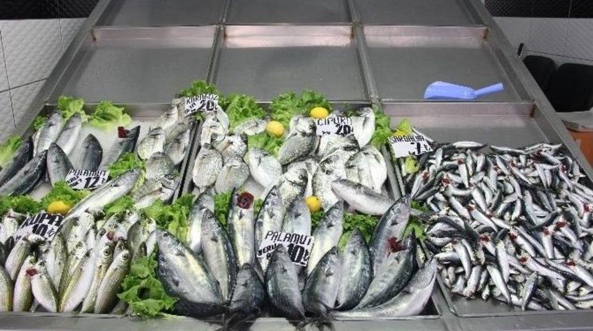 &Ccedil;anakkale&rsquo;de Balık Tezgahları Şenlendi