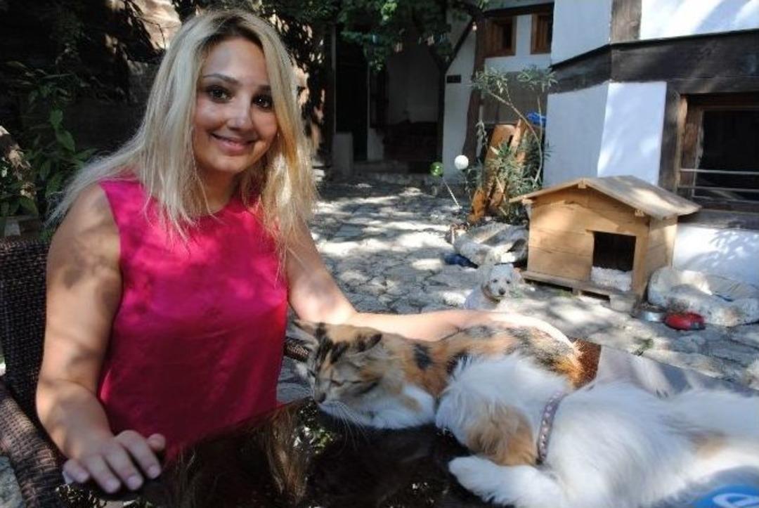Kedi Ve K&ouml;pekleri Barıştıran Pansiyon