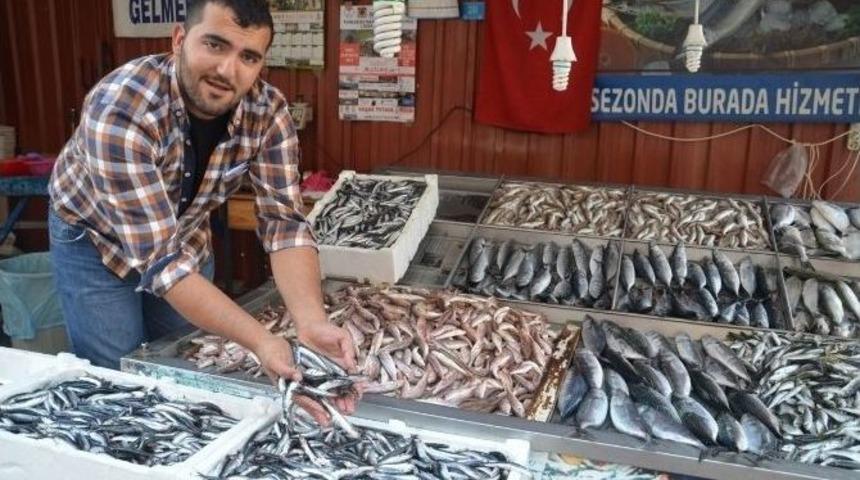 Balık Tezgahları Şenlendi