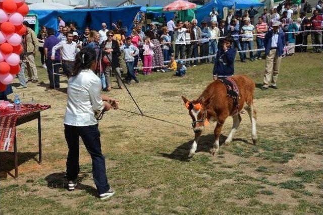 14. Çambaşı Yayla Şenliği Renkli Başladı