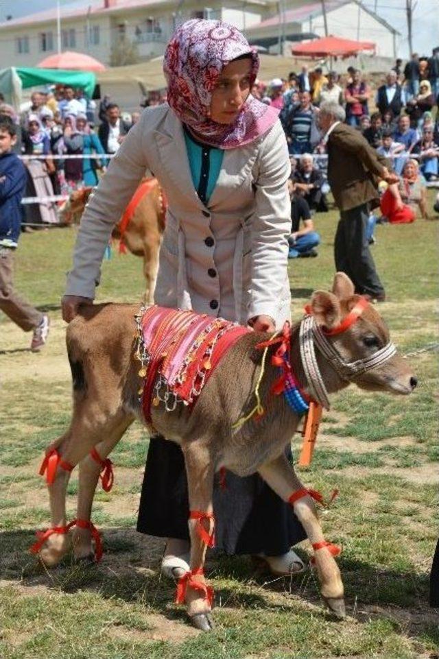 14. Çambaşı Yayla Şenliği Renkli Başladı