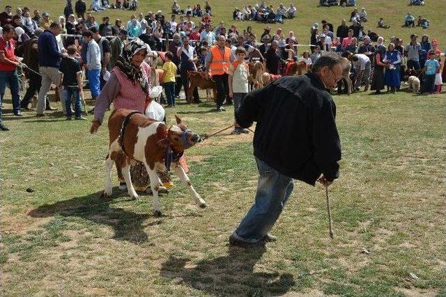 14. Çambaşı Yayla Şenliği Renkli Başladı