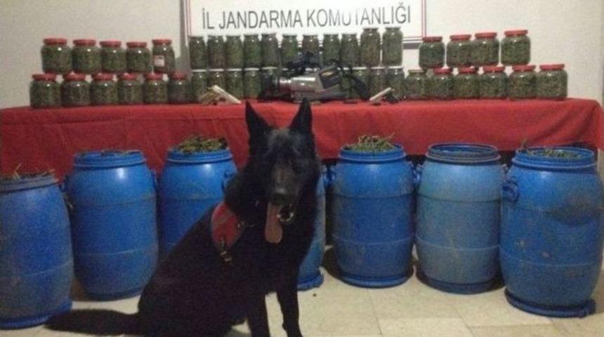 Toprağa G&ouml;m&uuml;l&uuml; 37 Kilo Esrar Ele Ge&ccedil;irildi