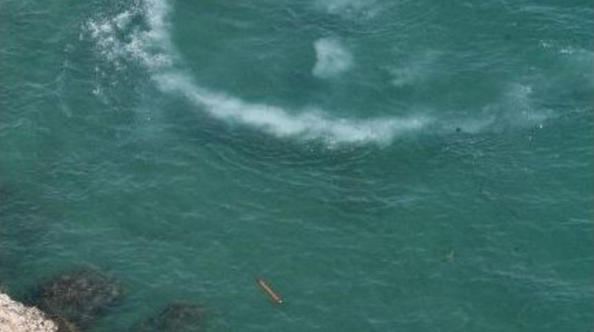 Ara&ccedil;la Falezlerden Denize U&ccedil;tu