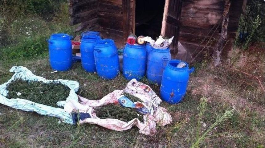 Karab&uuml;k Emniyetinden Rekor &Uuml;st&uuml;ne Rekor