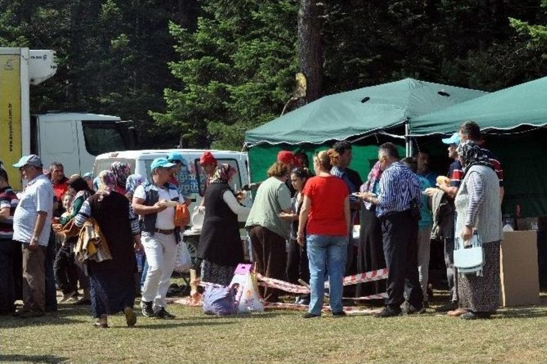 Beypili&ccedil; 10 Bin Kişiyi Piknikte Buluşturdu