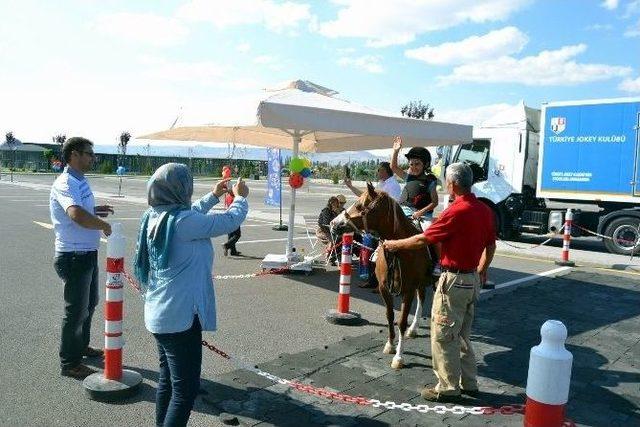 ‘pony Club’ İle Çocuklara Ata Sporu Sevdiriliyor