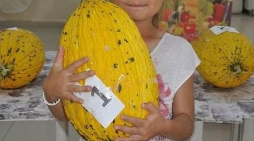 Kırkağa&ccedil;&rsquo;ın En G&uuml;zel Kavunu Se&ccedil;ildi