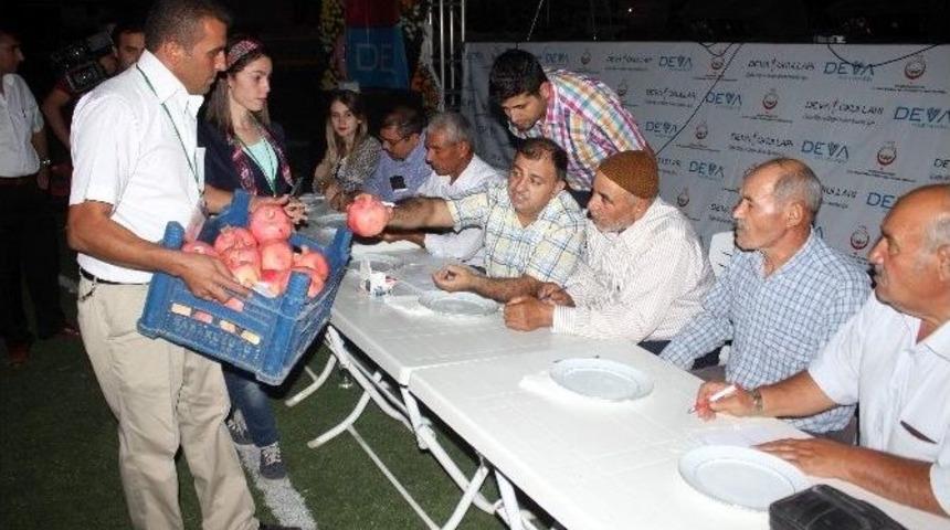 En İyi Nar Se&ccedil;ildi