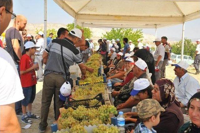 En Hızlı Üzüm Yeme Yarışmasında Gözleri Kapalı Üzüm Yediler