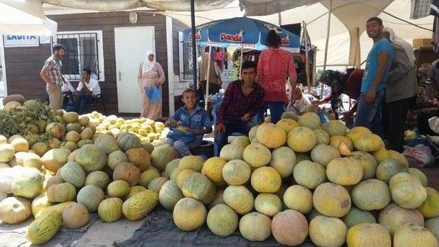 Yerli Kavun Ve Karpuz Esnafın Y&uuml;z&uuml;n&uuml; G&uuml;ld&uuml;rd&uuml; 1