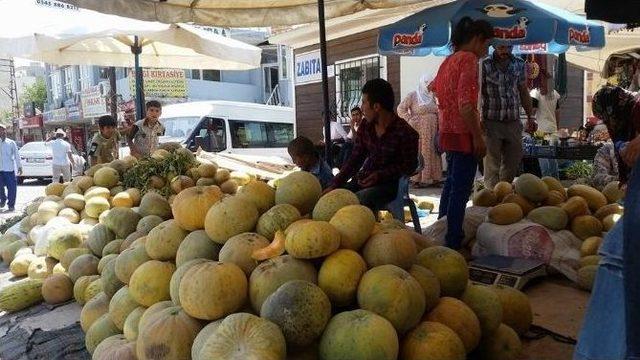 Yerli Kavun Ve Karpuz Esnafın Y&uuml;z&uuml;n&uuml; G&uuml;ld&uuml;rd&uuml; 2