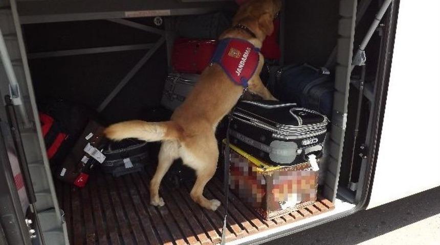 Ağrı&rsquo;da Ka&ccedil;ak&ccedil;ılık Operasyonu