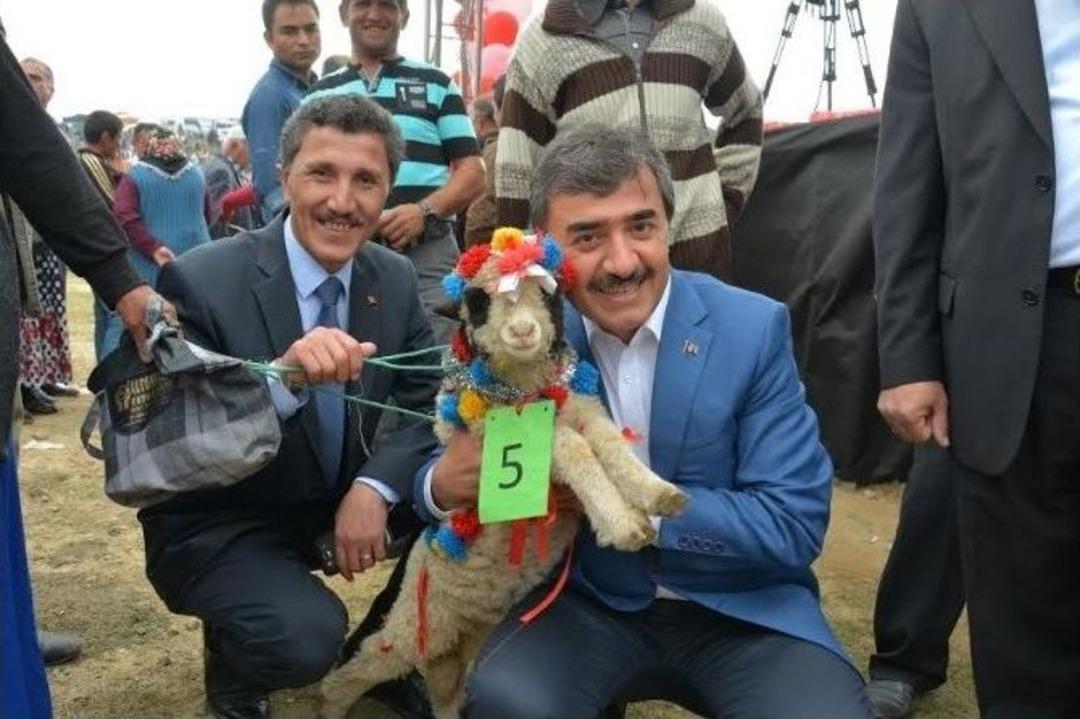 &Ccedil;ambaşı&rsquo;nda Şenlik Coşkusu