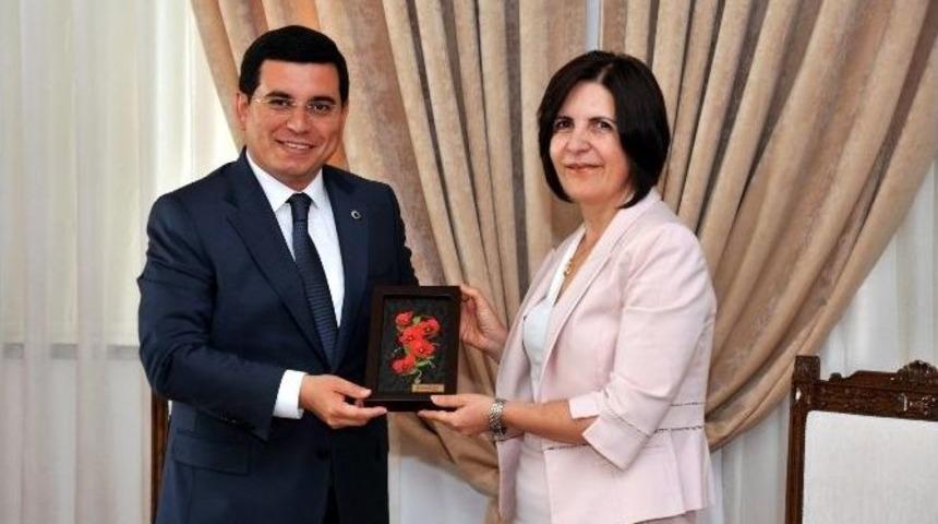 Başkan T&uuml;t&uuml;nc&uuml; İşbirliği İ&ccedil;in Yavru Vatanda