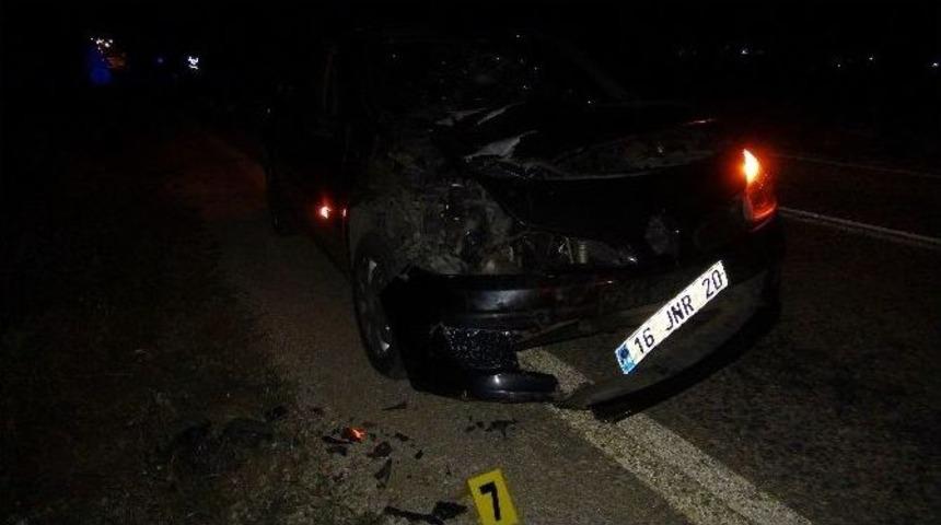 Otomobilin &Ccedil;arptığı Eşek İle K&ouml;pek Telef Oldu