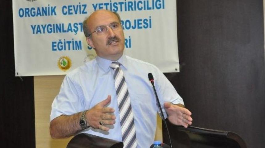 &Ccedil;epni K&ouml;y&uuml;nde Cevik Dikimi Başlıyor