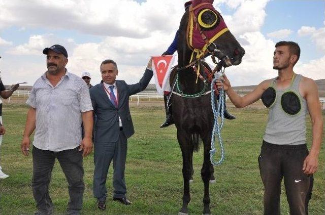 2014 Mahmudiye Mahalli At Yarışları Başladı