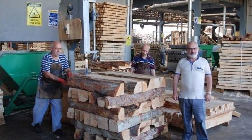 Balcıoğlu: &ldquo;kereste Sekt&ouml;r&uuml;ne Verilecek Destek Cari A&ccedil;ığı D&uuml;ş&uuml;r&uuml;r&rdquo;