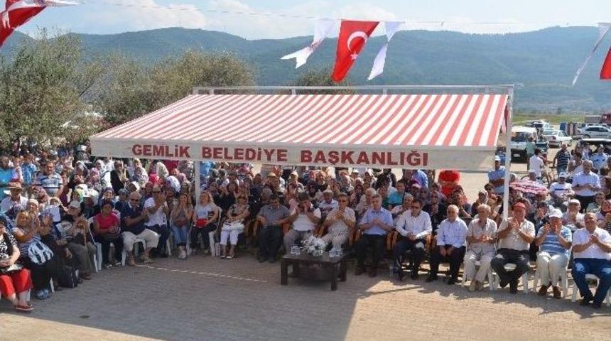 Kumsaz&rsquo;da Deniz Şenliği