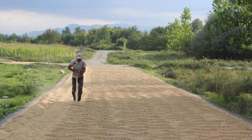 Kara Yolu &Ccedil;eltik Harmanı Oldu
