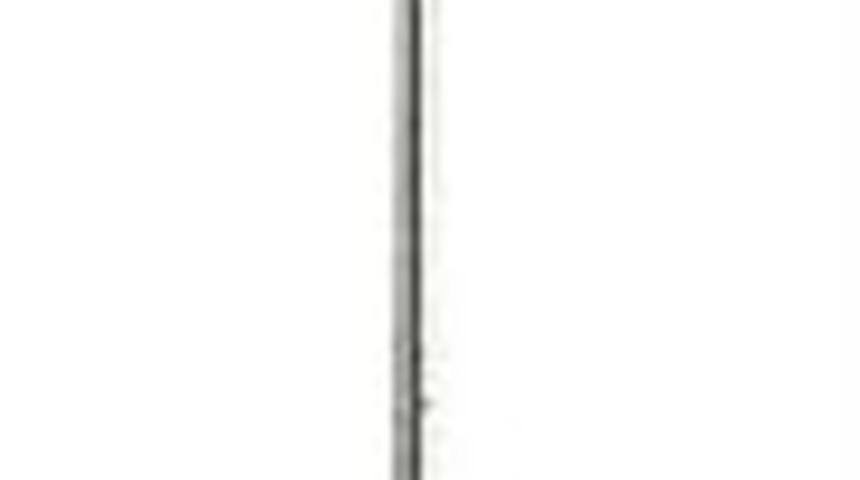 Sel&uuml;litlere &rsquo;kalp&rsquo;ten &Ccedil;&ouml;z&uuml;m