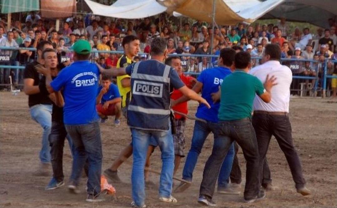 Boğa G&uuml;reşlerinde Kan Aktı