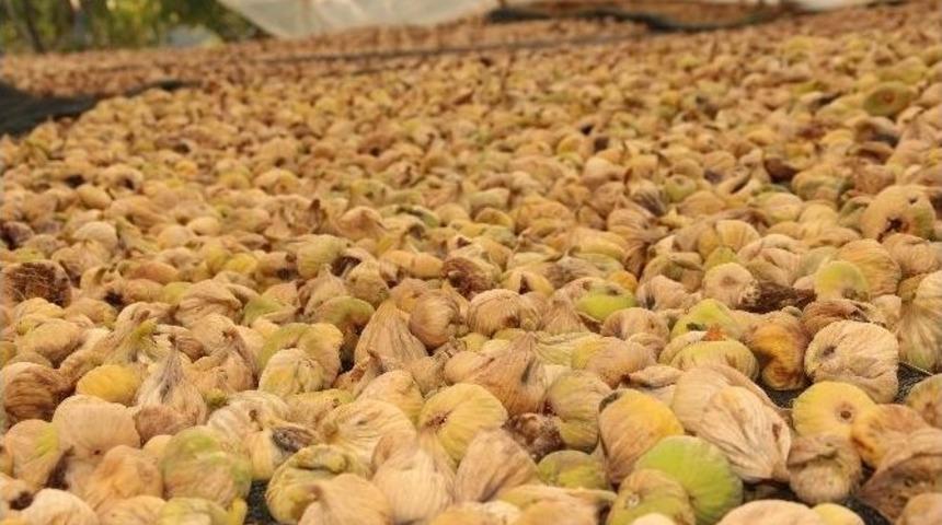 Yağmur Yağdı Y&uuml;kleme Tarihi 15 Ekim&rsquo;e Ertelendi