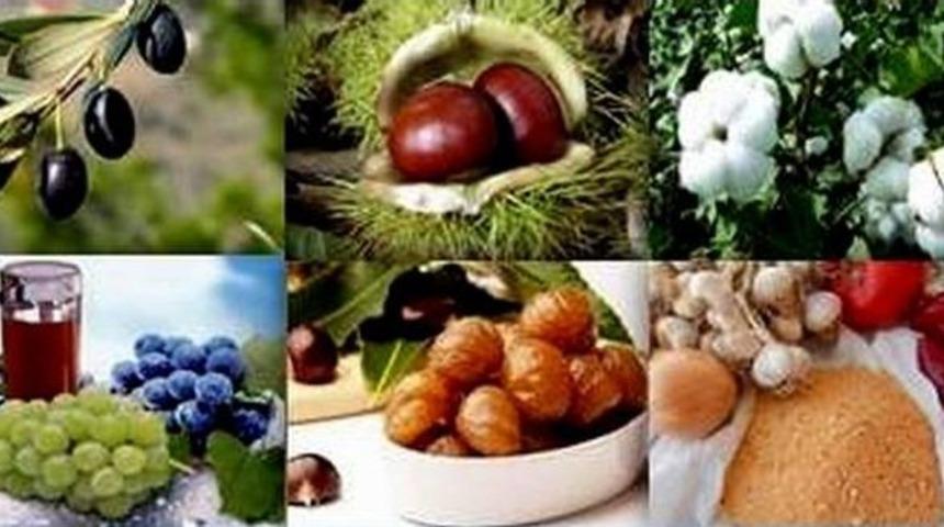 Aydın&rsquo;ın Yatırımcılarına M&uuml;jde