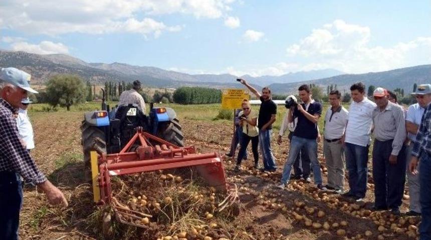 Muğla Patates&rsquo;te &Ouml;demiş&rsquo;e Rakip