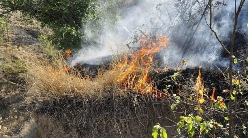 G&uuml;r&uuml;n&rsquo;de Ormanlık Alanda Yangın