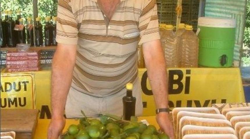 Havran’da Mandalina Hasadına Başlandı