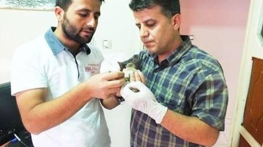 Duyarlı Gazeteciden &Ouml;rnek Davranış